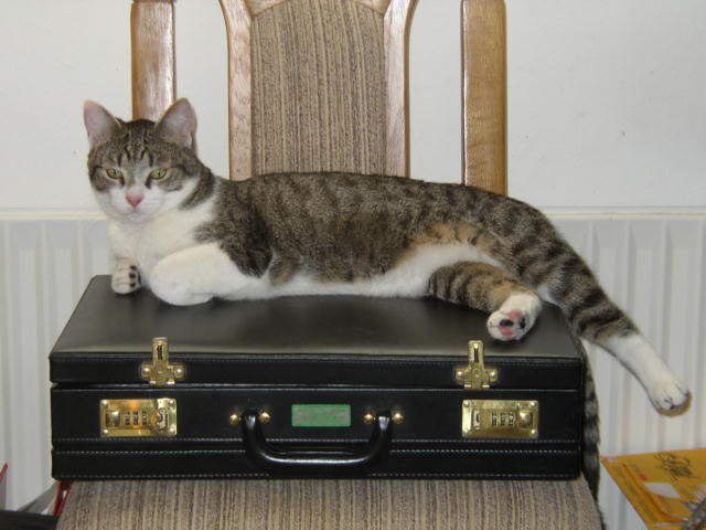 ../images/fotoalbum/katzen/2004-02-20_01