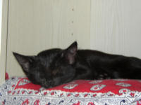 Jetzt bin ich aber m&uuml;de