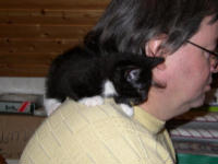 Sammy hilft Hannes am Computer