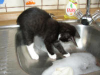 Die Seifenblasen muss ich doch fangen k&ouml;nnen...