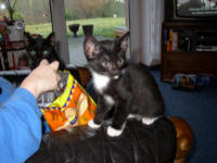 Lucy und Sammy helfen Katja beim Chips essen